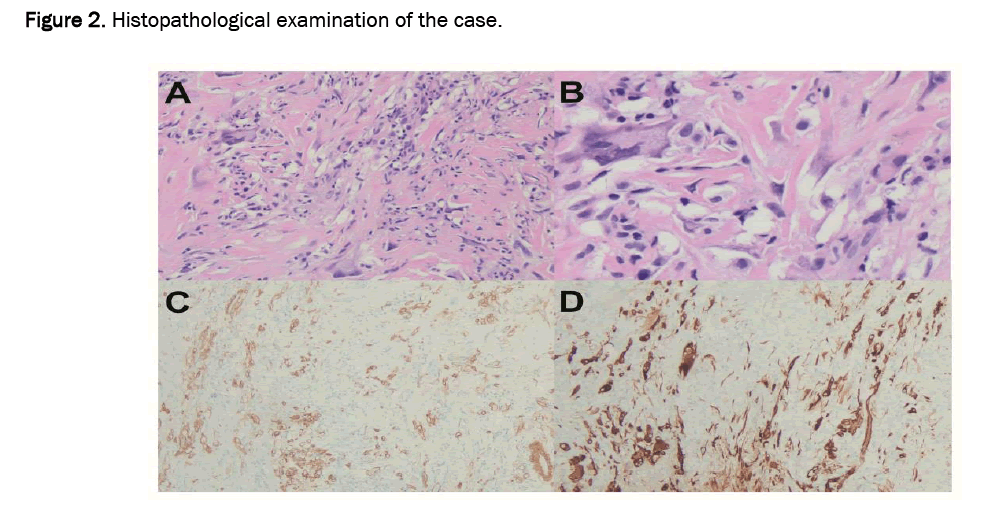 biology-histopathological