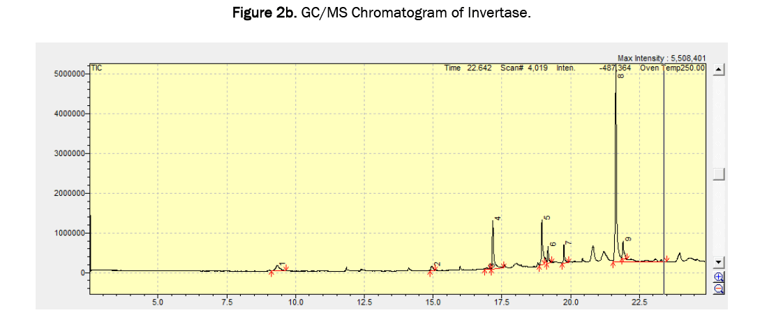 biology-invertase