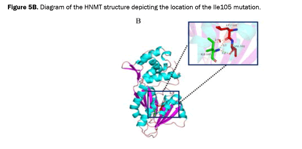 biology-mutation