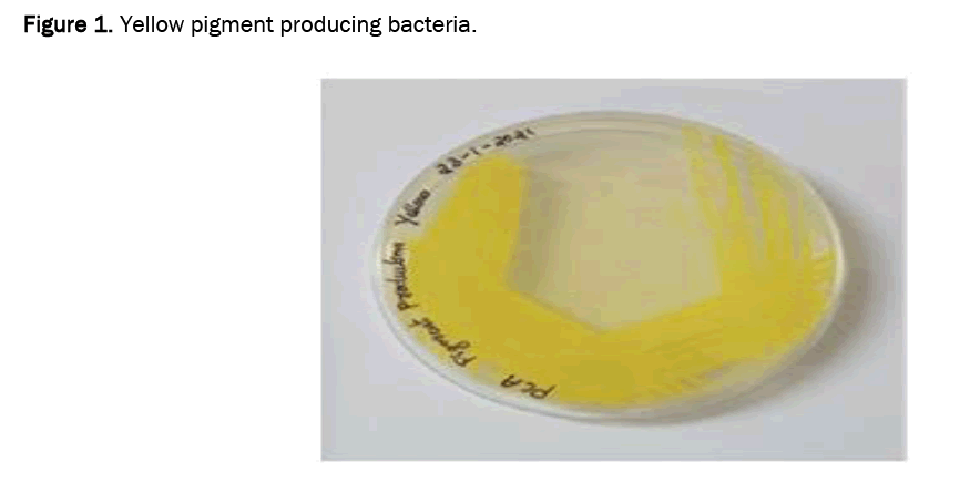 biology-pigment