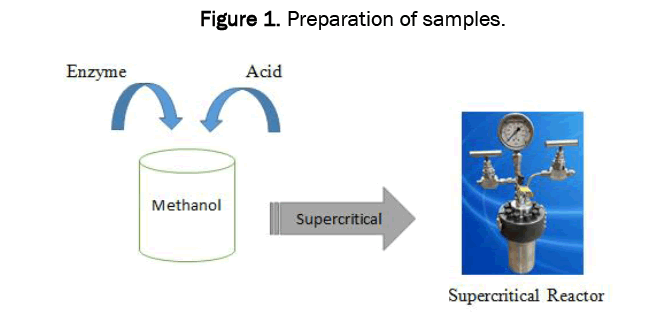 biology-preparation