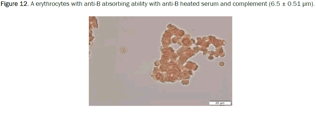 biology-sorbing