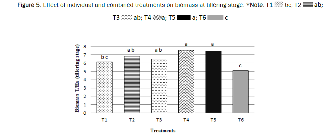 botanical-sciences-biomass