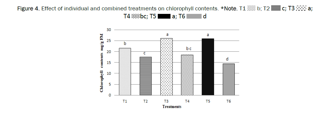 botanical-sciences-chlorophyll