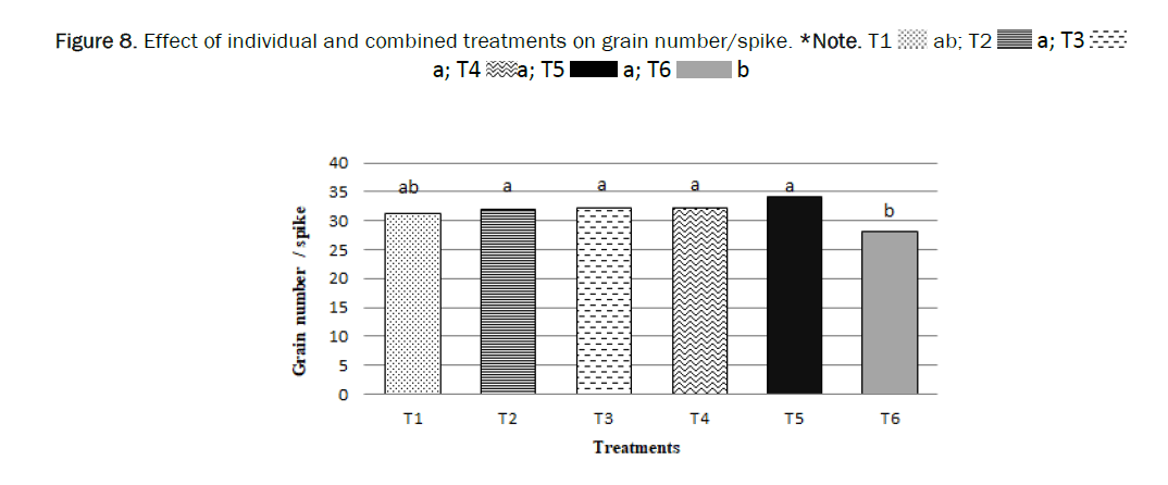 botanical-sciences-grain