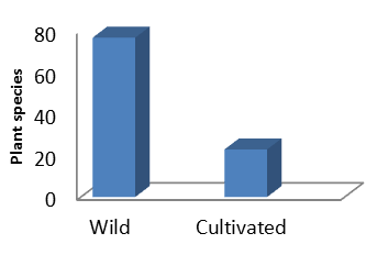 botanical-sciences-management