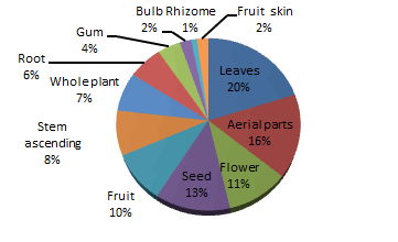 botanical-sciences-plant