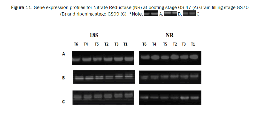 botanical-sciences-reductase