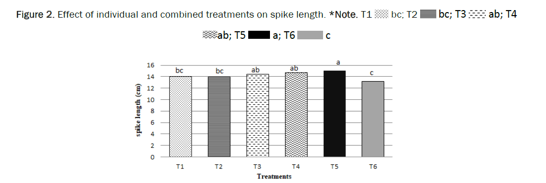 botanical-sciences-spike