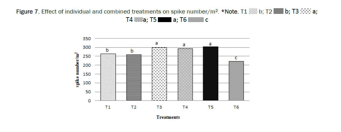 botanical-sciences-spike