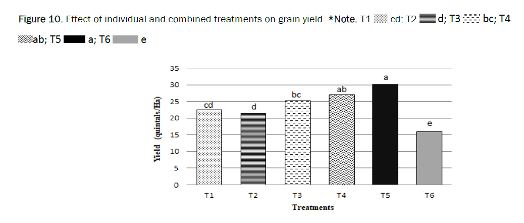 botanical-sciences-yield