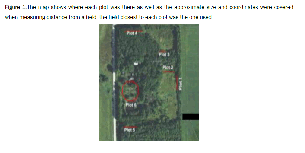 ecology-environmental-approximate