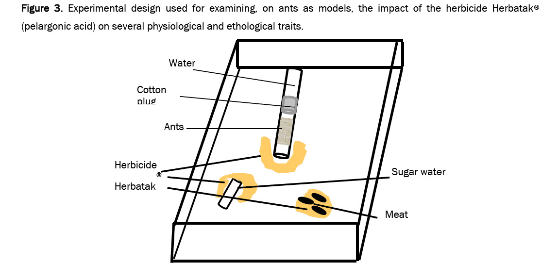 environmental-sciences-examining