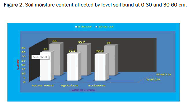 environmental-sciences-moisture