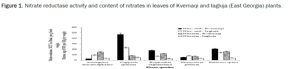 environmental-sciences-nitrates