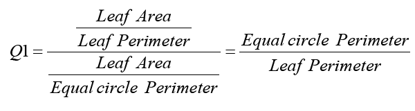 equation