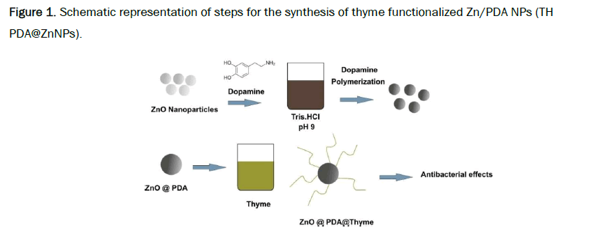 material-sciences-functionalized