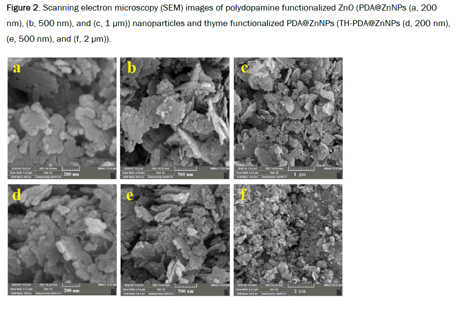 material-sciences-polydopamine