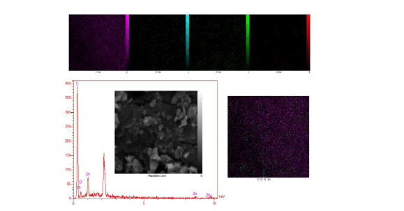 material-sciences-th-pdda@znnps