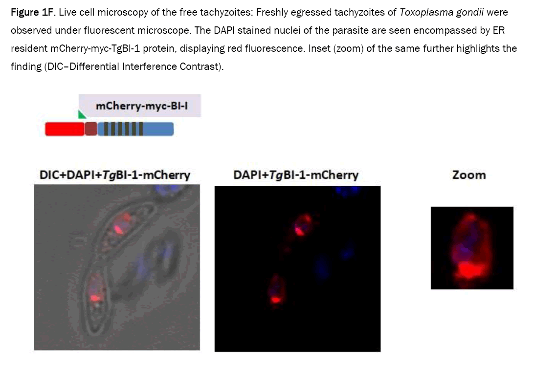 microbiology-egressed