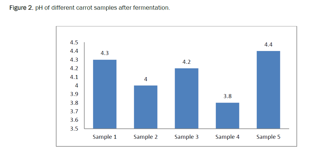 microbiology-fermentation