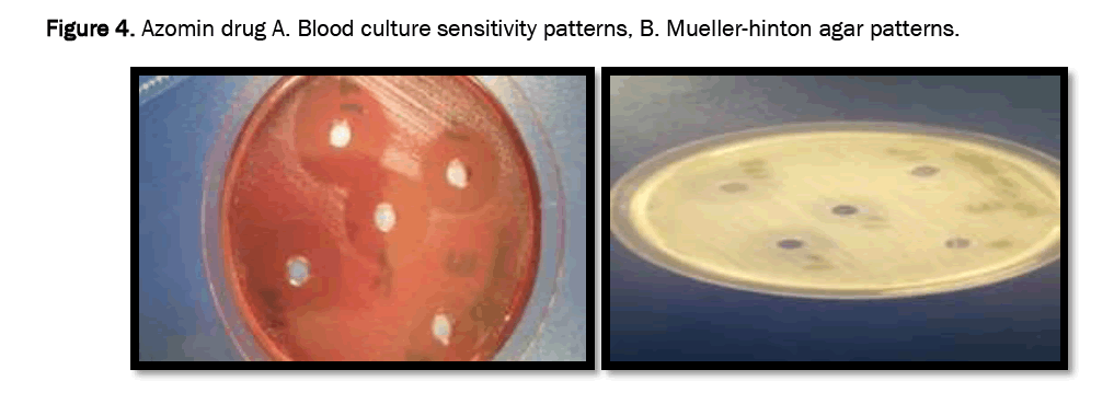 pharmaceutical-analysis-agar