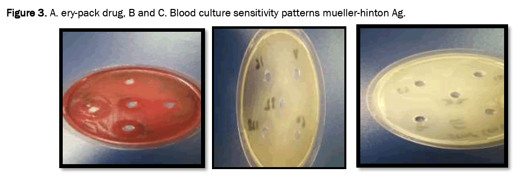 pharmaceutical-analysis-hinton