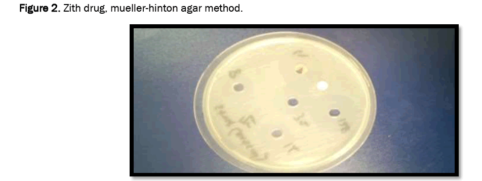 pharmaceutical-analysis-mueller