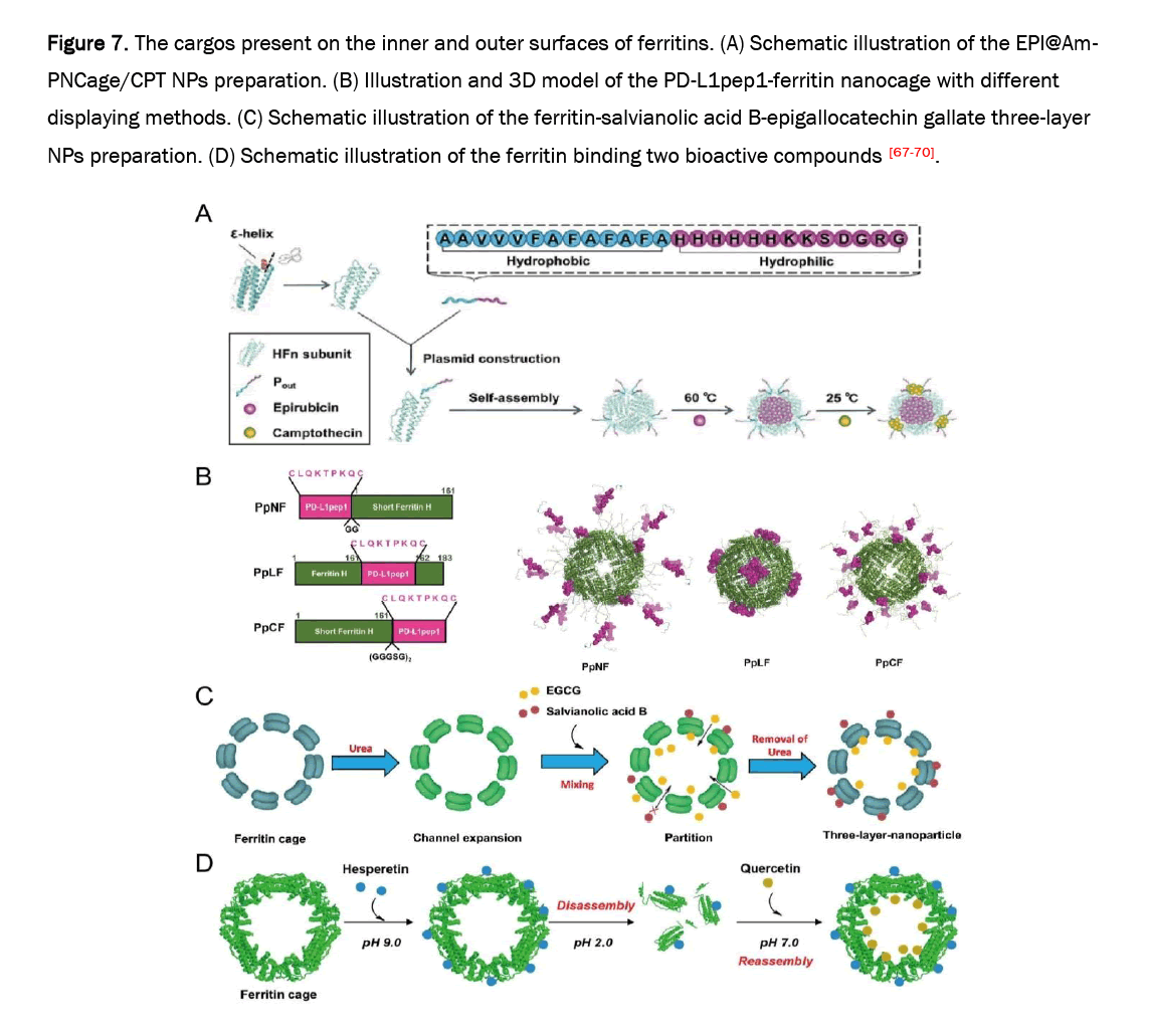 pharmaceutical-analysis-nanocage