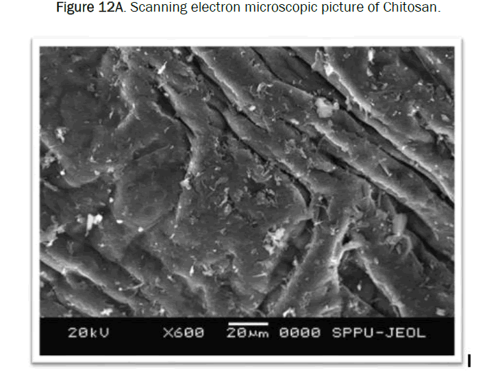 pharmaceutics-nanotechnology-electron