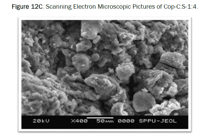 pharmaceutics-nanotechnology-scanning