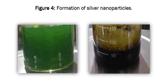 pharmaceutics-nanotechnology-silver