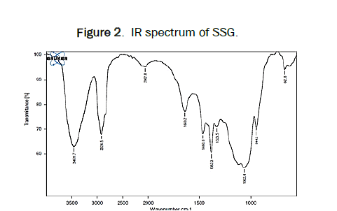 pharmaceutics-ssg