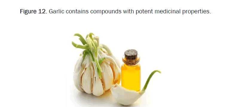pharmacognosy-compounds