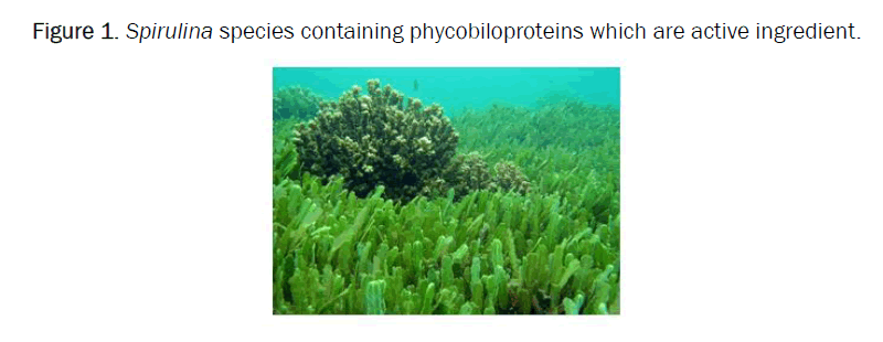 pharmacognosy-phycobiloproteins