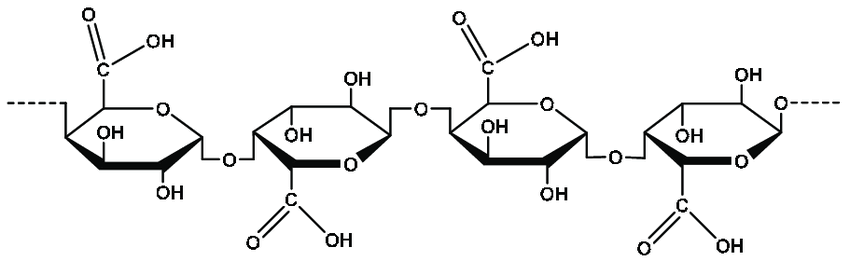 pharmacognosy-phytochemistry-acid