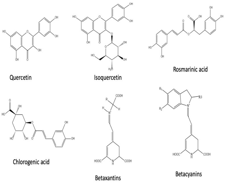 pharmacognosy-phytochemistry-cgemical