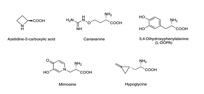 pharmacognosy-phytochemistry-chemical