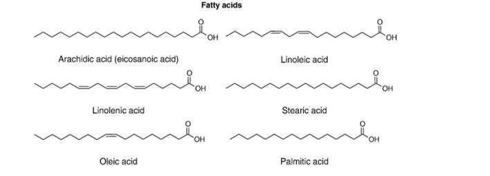 pharmacognosy-phytochemistry-chemical