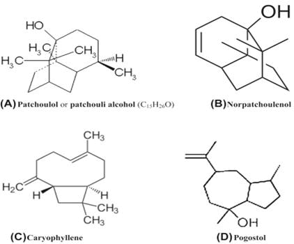 pharmacognosy-phytochemistry-jasmine