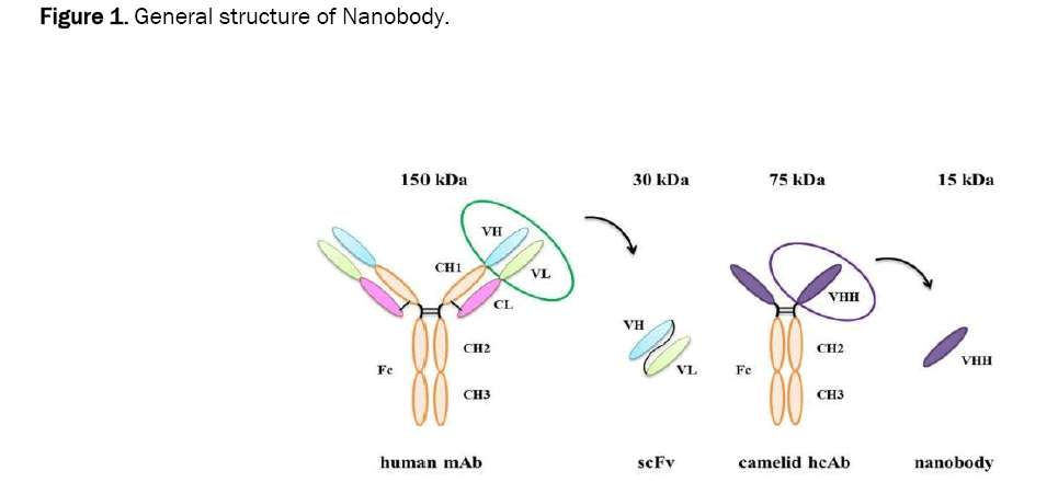 pharmacognosy-phytochemistry-nanobody