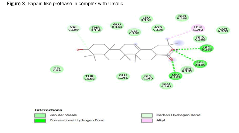 pharmacognosy-phytochemistry-ursolic