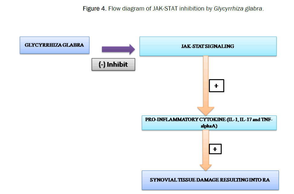 pharmacy-pharmaceutical-diagram