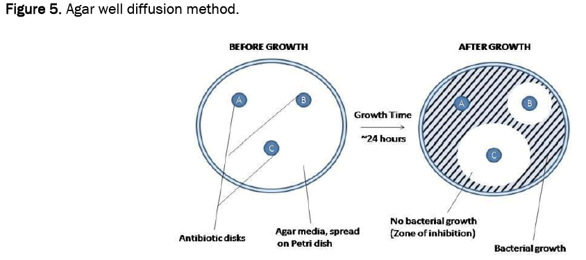 pharmacy-pharmaceutical-diffusion