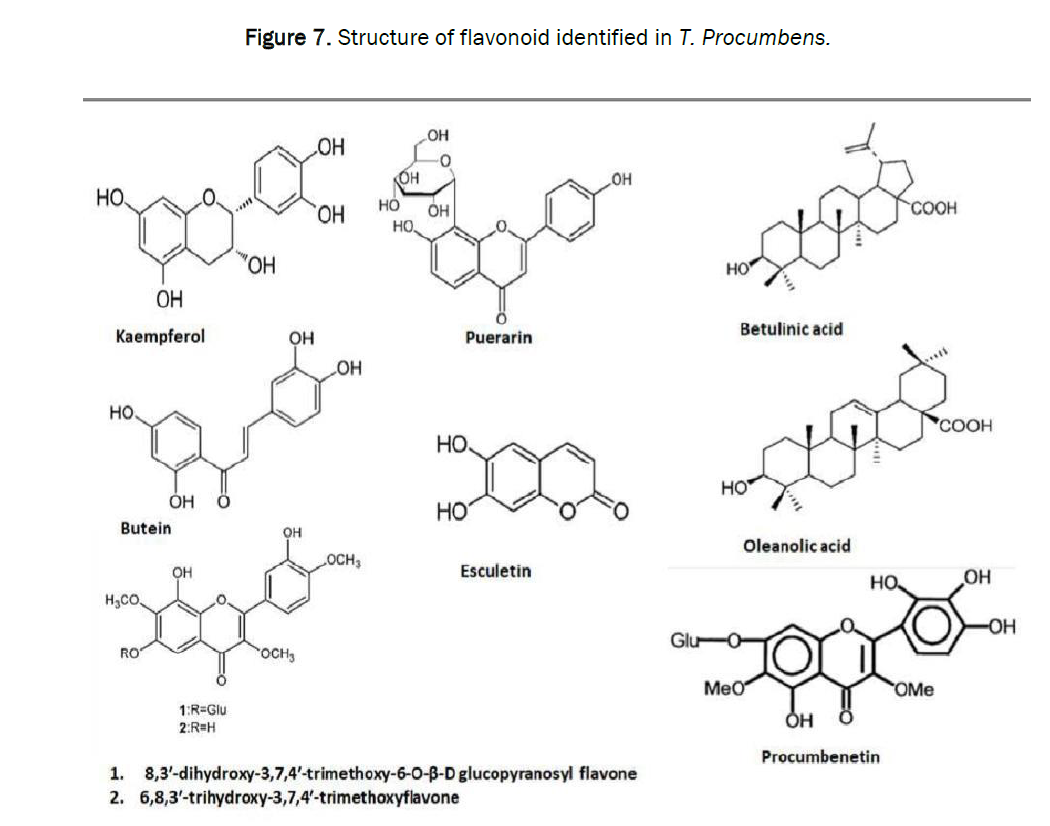 pharmacy-pharmaceutical-flavonoid