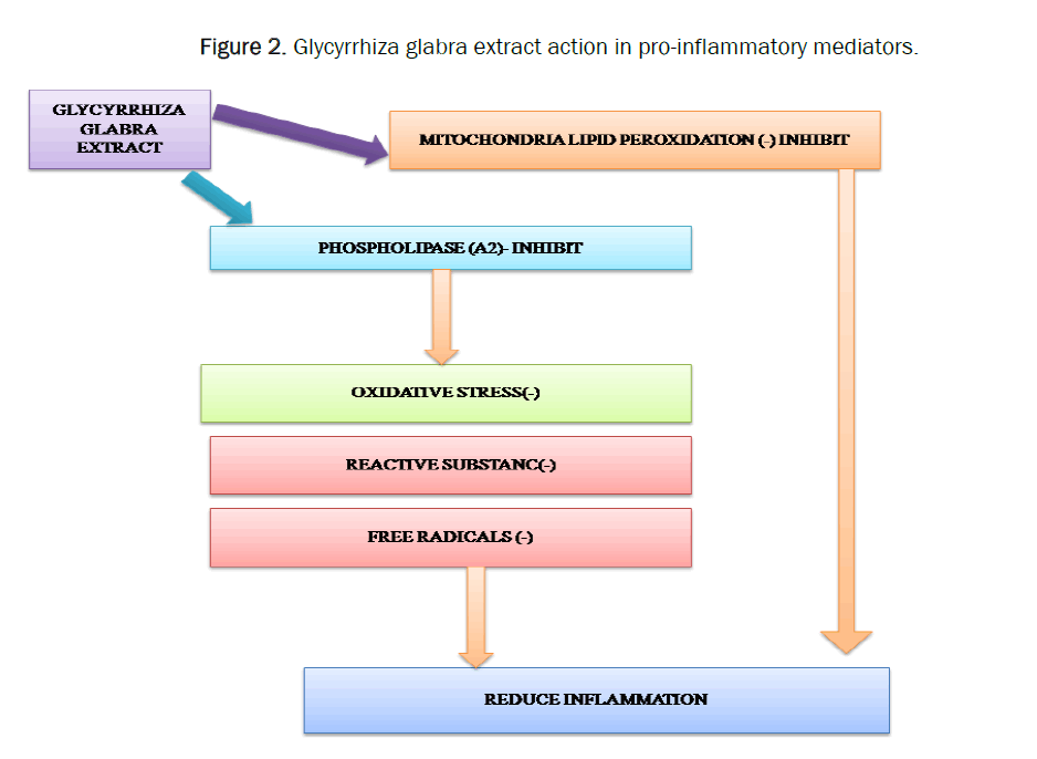 pharmacy-pharmaceutical-glabra