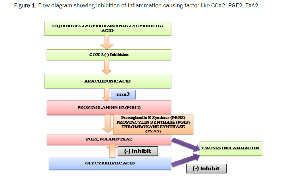 pharmacy-pharmaceutical-inhibition