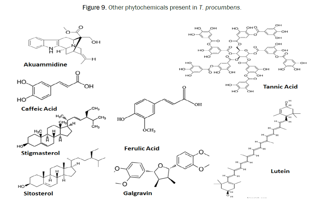 pharmacy-pharmaceutical-phytochemicals