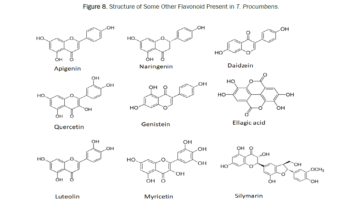 pharmacy-pharmaceutical-structure