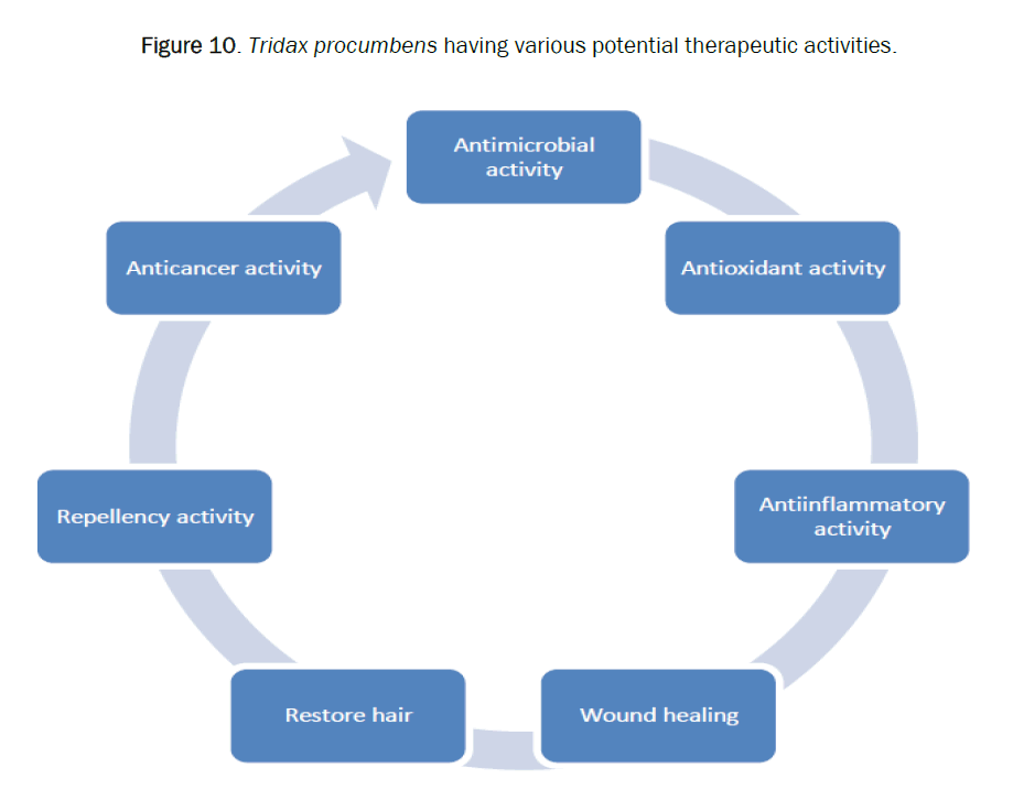 pharmacy-pharmaceutical-therapeutic